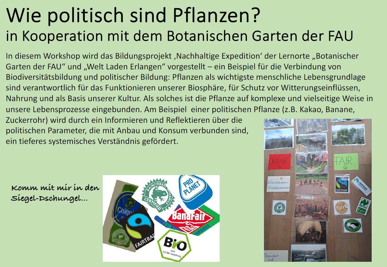 Bildung 2025-8