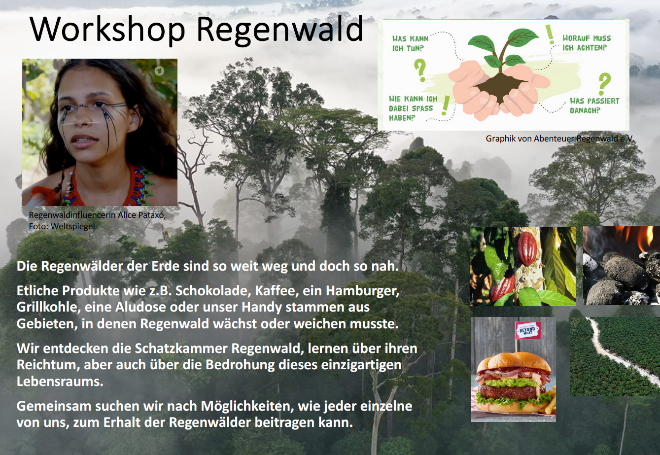 Bildung 2025-9